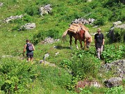 17 Trasporto a valle su cavallo dei formaggi  da Baita Predoni